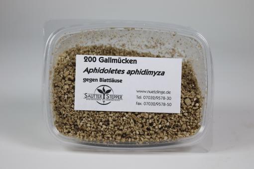Gallmücken (Aphidoletes) 200 Stück 